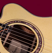 Guitar Panel 4